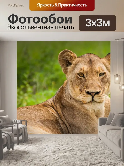 Фотообои Лев