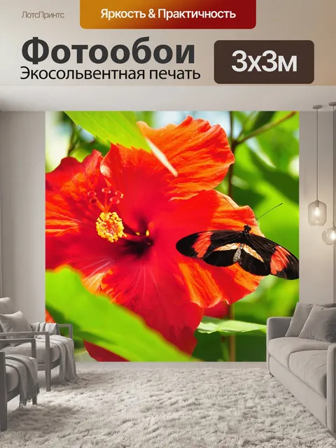 Фотообои Почтальон бабочка