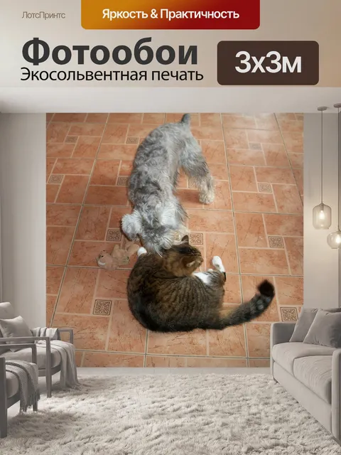 Фотообои Собака