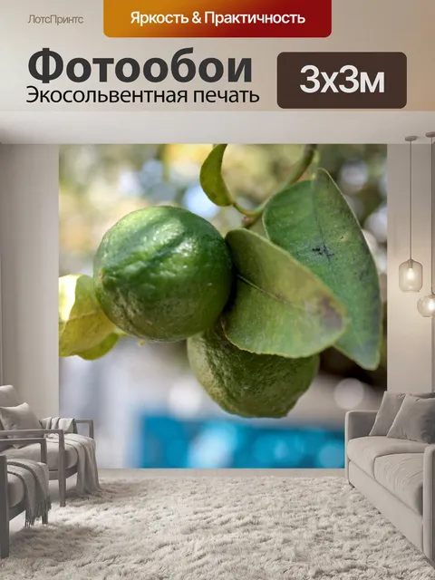Фотообои Лимоны на дереве