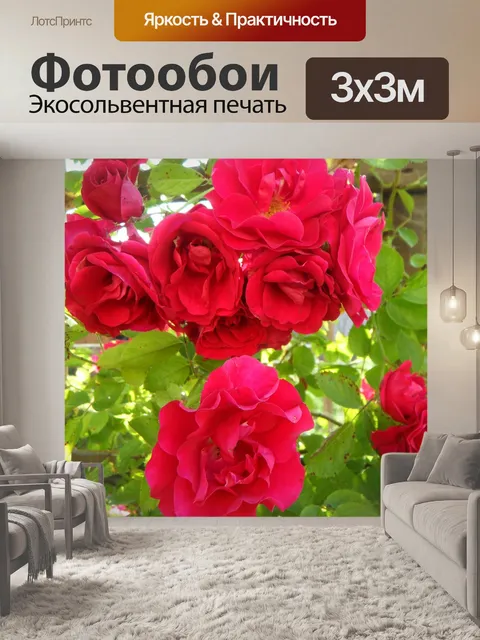 Фотообои Сад
