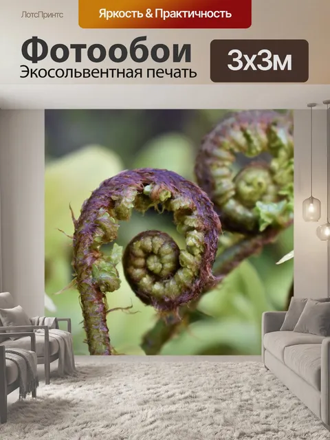 Фотообои Папоротник
