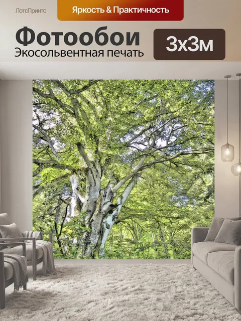 Фотообои Дерево