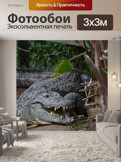 Фотообои Крокодил