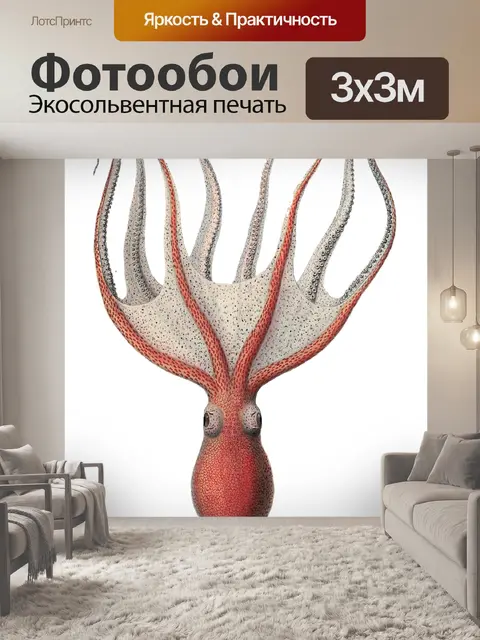 Фотообои Кальмар осьминог миф о мореплавании