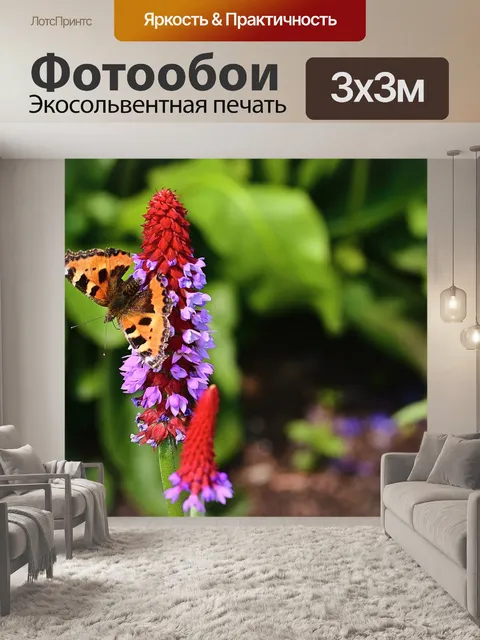 Фотообои Орхидеи примула