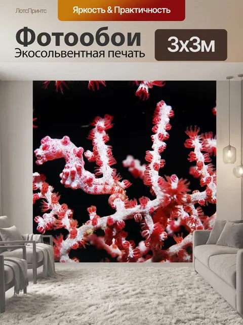 Фотообои Морской конек