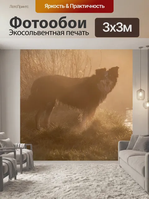 Фотообои Собака