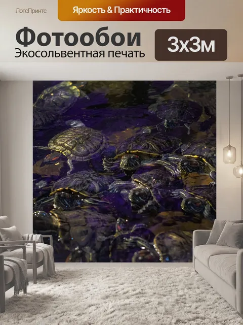 Фотообои Turtle