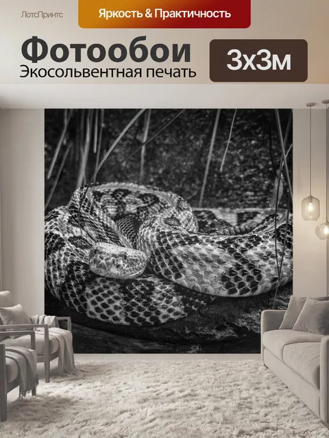 Фотообои Гремучая змея