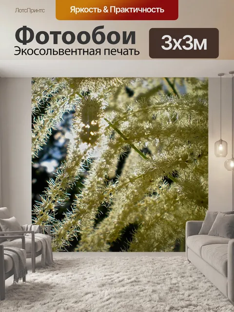 Фотообои Цветочная гроздь