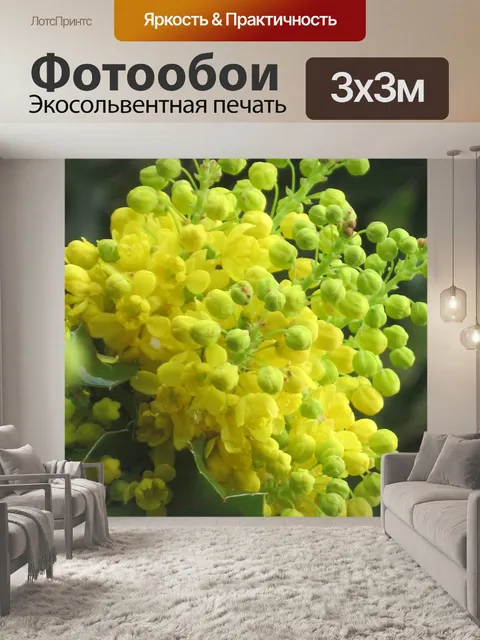 Фотообои Желтый