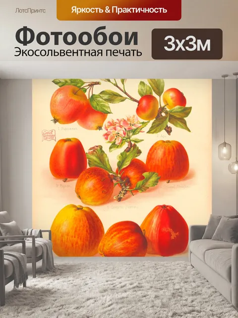 Фотообои Старинный фруктовый сад