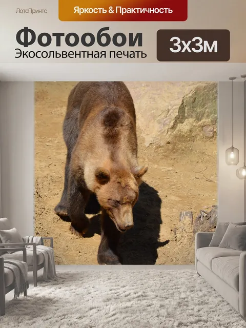 Фотообои Бурый медведь 07