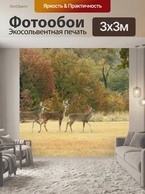 Фотообои Три белохвостых оленя осенью