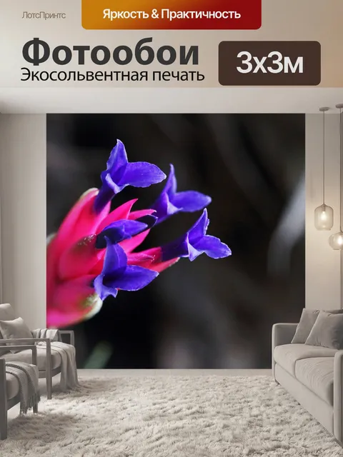 Фотообои вид на фиолетовый и розовый цветок