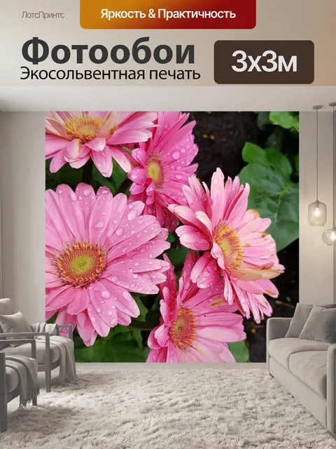 Фотообои Розовая маргаритка