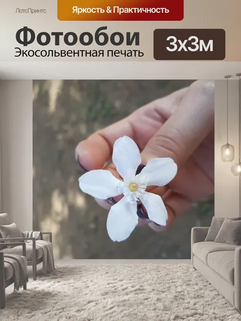 Фотообои белый цветок