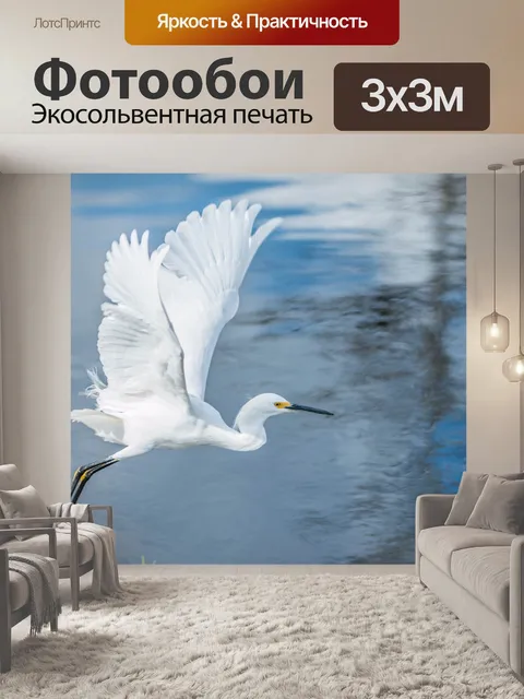 Фотообои птица