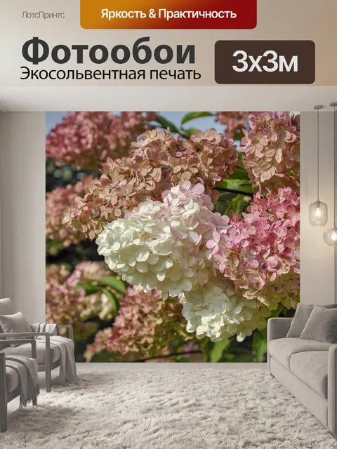 Фотообои Гортензия