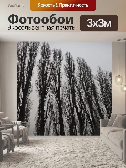Фотообои Гигантские деревья