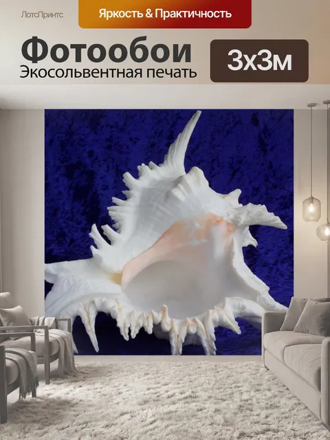 Фотообои Морские улитки