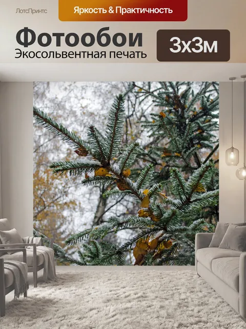 Фотообои вечнозеленый