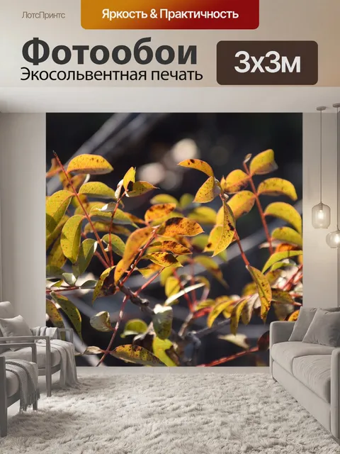 Фотообои Лес