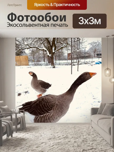 Фотообои Гуси