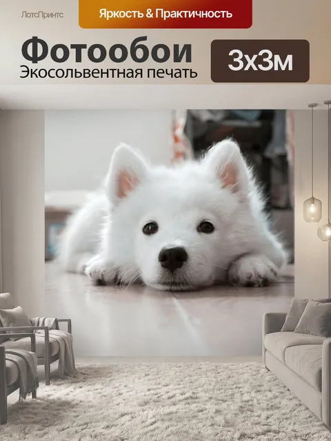 Фотообои Собака