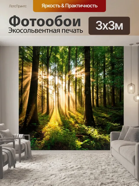 Фотообои лес с солнечными лучами, пробивающимися сквозь листву, создающими диаболическую прелесть