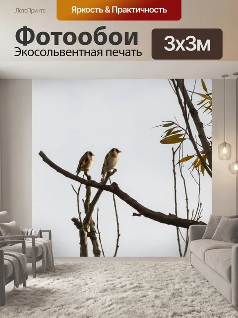 Фотообои Птица