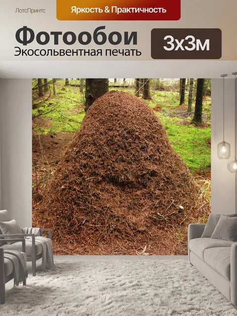 Фотообои Насекомые