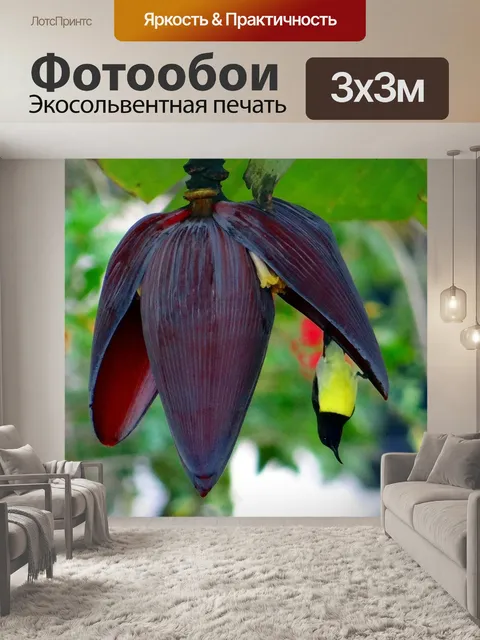 Фотообои Банановый цветок