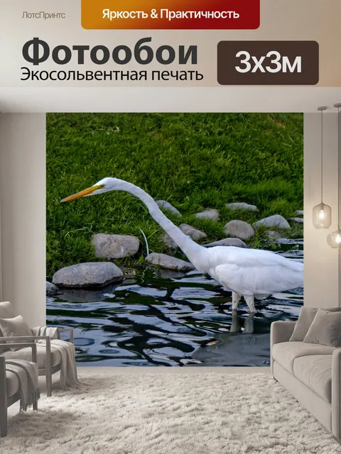 Фотообои Белая цапля Рыбалка