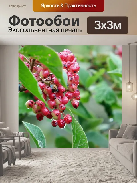 Фотообои Ягода