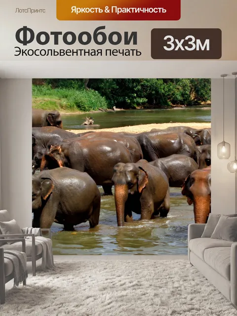 Фотообои Слон Стадо