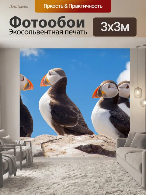 Фотообои Тупиков