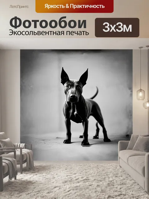 Фотообои минималистическое чёрно-белое фото молодого тайского риджбека на однотонном фоне