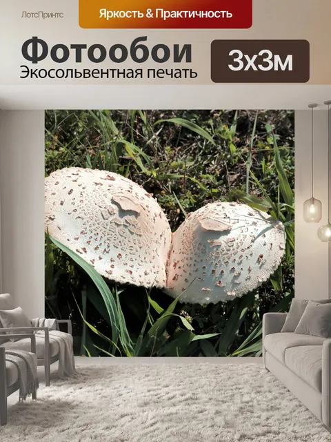 Фотообои Два белых гриба-аманиты