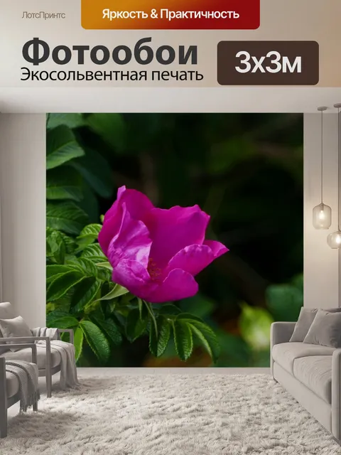 Фотообои Природа