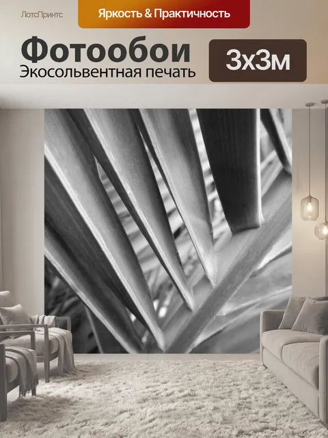 Фотообои Черный пальмовых листьев