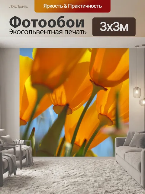 Фотообои Калифорния маки