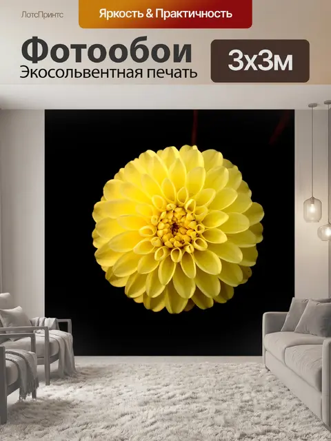 Фотообои Цветок
