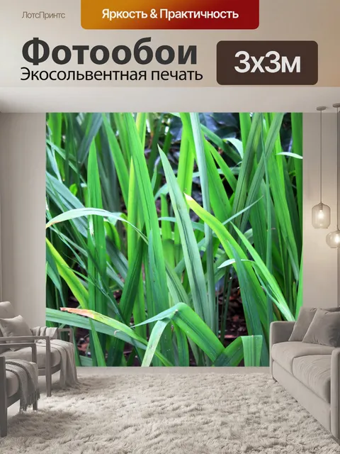 Фотообои листья фон