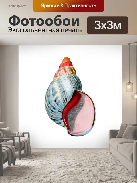 Фотообои Винтажное искусство из ракушек