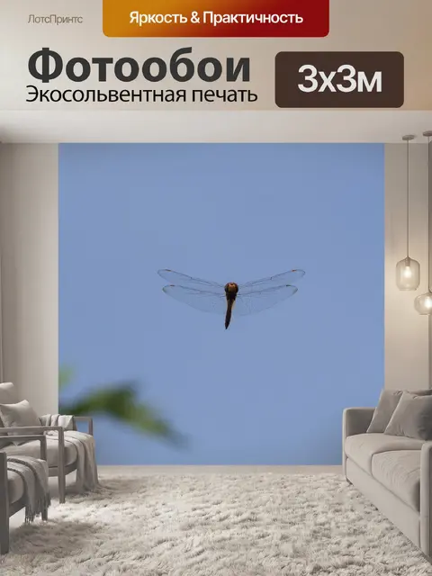Фотообои Стрекоза