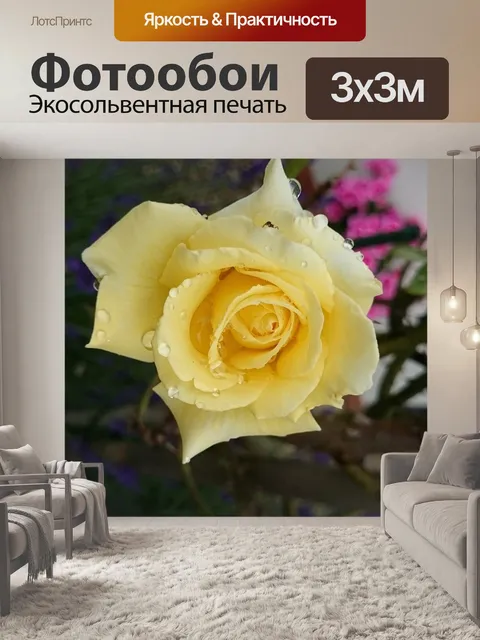 Фотообои Желтая роза