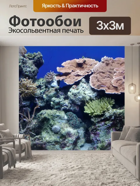 Фотообои Коралл