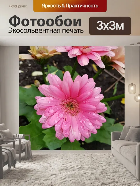 Фотообои Розовая маргаритка 3